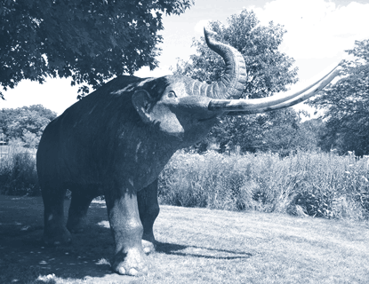 The matrimonial mastodon.